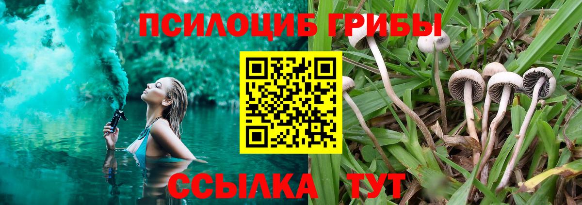 Галлюциногенные грибы Psilocybine cubensis Краснотурьинск