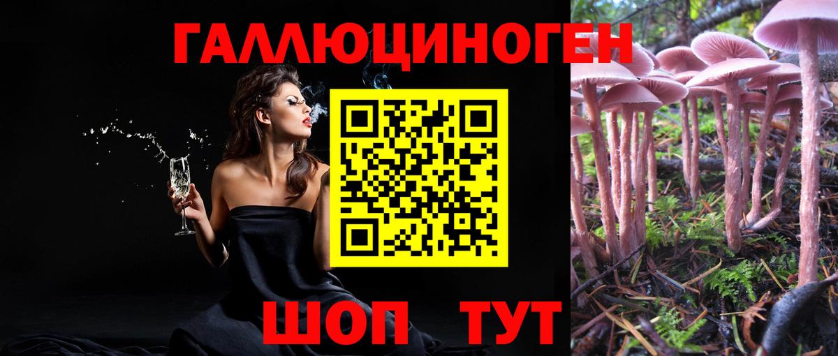 Галлюциногенные грибы GOLDEN TEACHER  Вход с VPN  Краснотурьинск 
